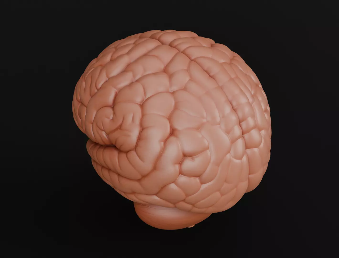 Human Brain 3D Model Realistic Anatomical Organ 3D model_9