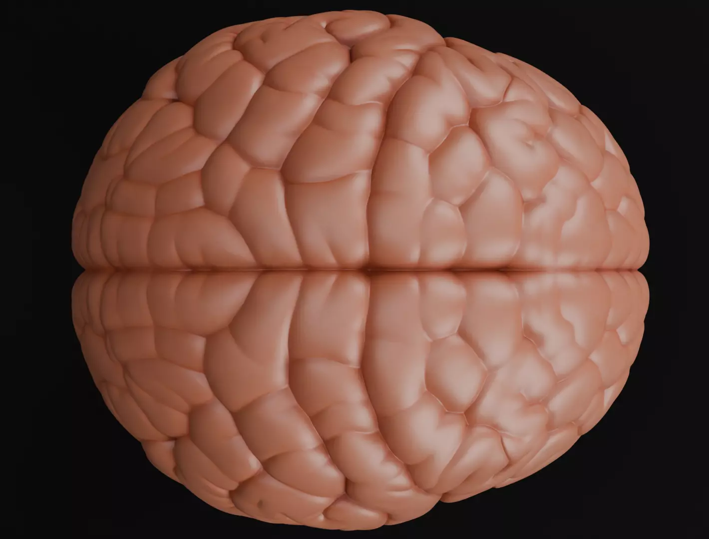 Human Brain 3D Model Realistic Anatomical Organ 3D model_2