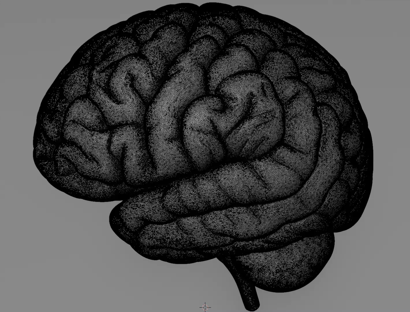 Human Brain 3D Model Realistic Anatomical Organ 3D model_14