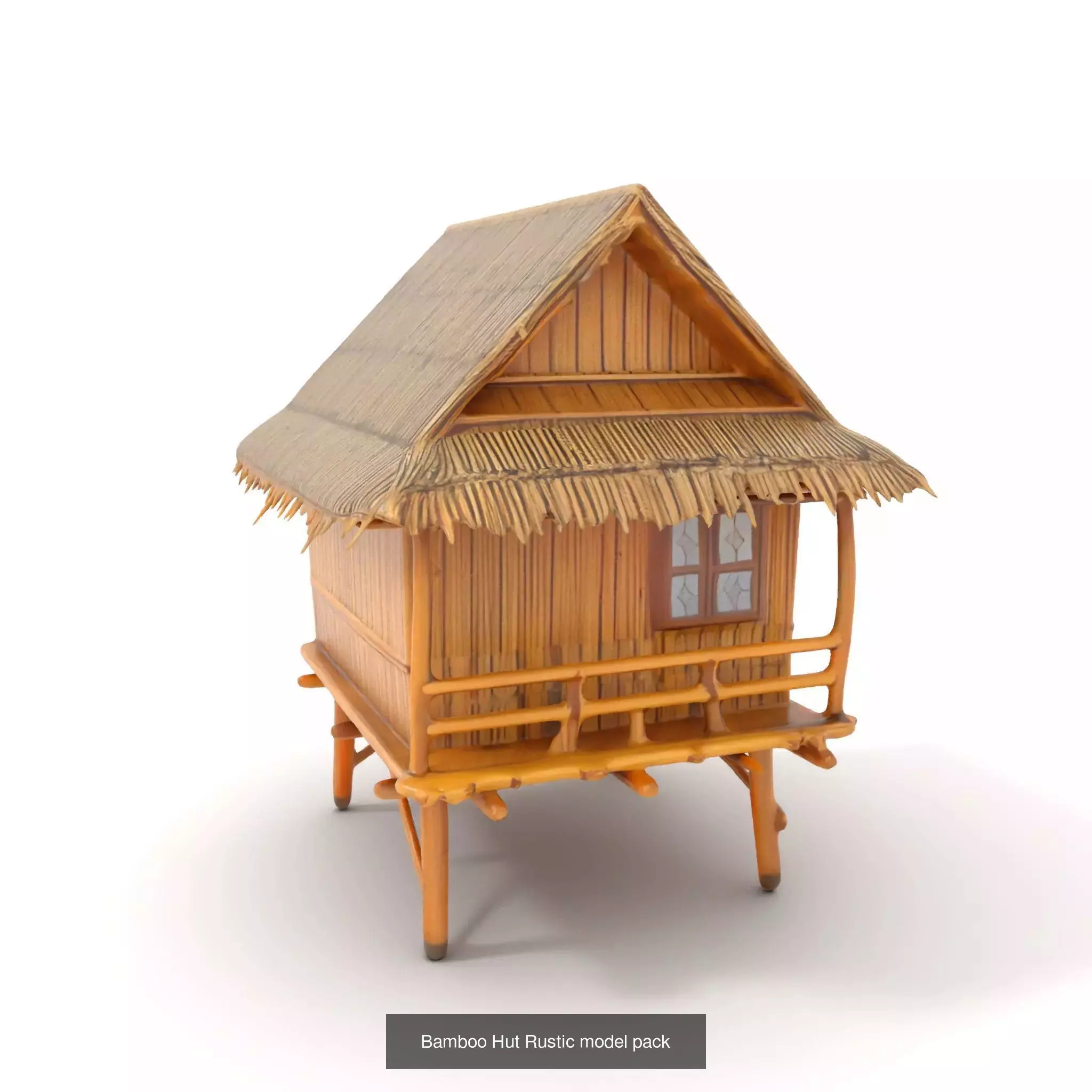 Cultural Dwelling Models Collection _84