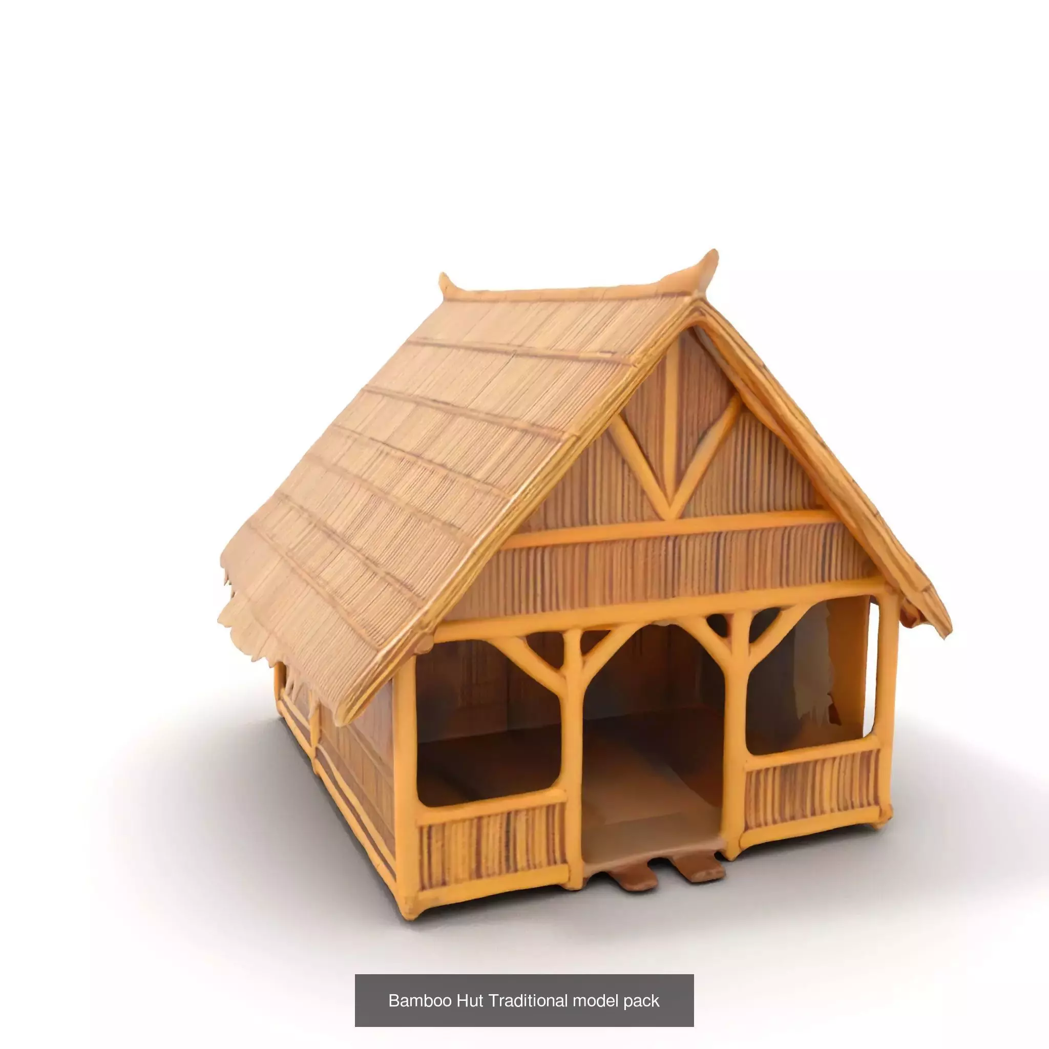 Cultural Dwelling Models Collection _65