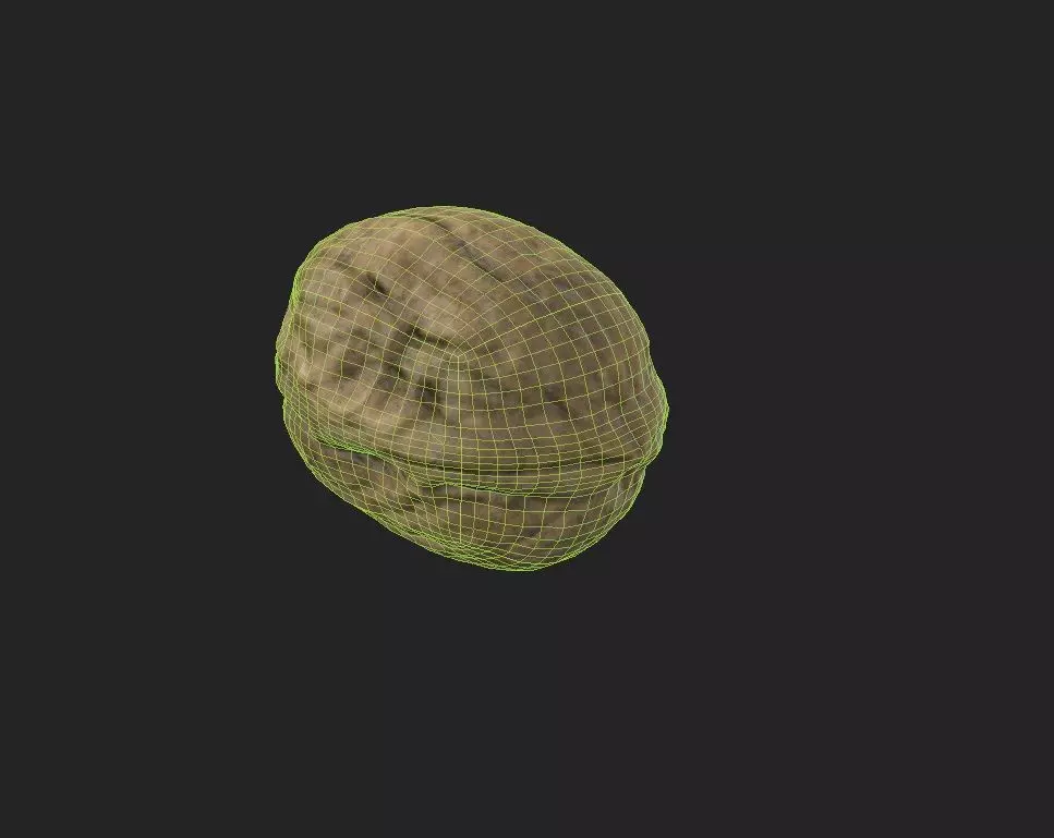 Walnut M01 Low-poly 3D model_2