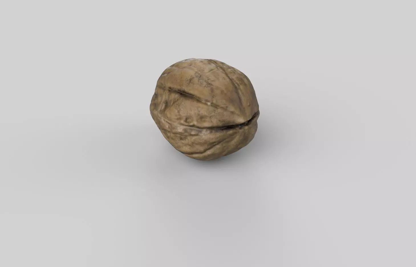 Walnut M01 Low-poly 3D model_5