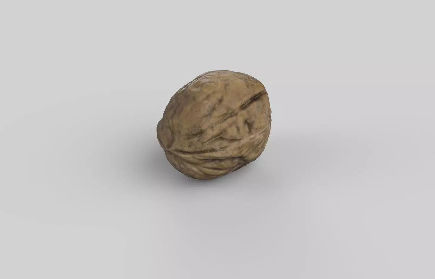 Walnut M01 Low-poly 3D model_4