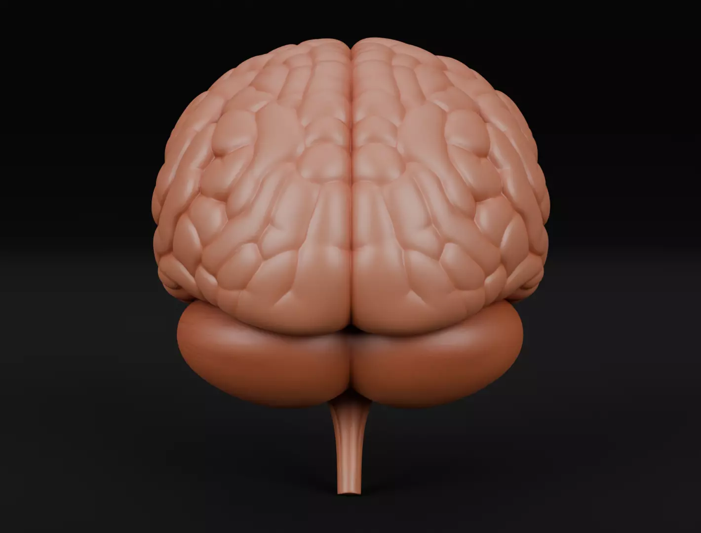 Human Brain 3D Model for 3D Printing Anatomical Organ 3D print model_5