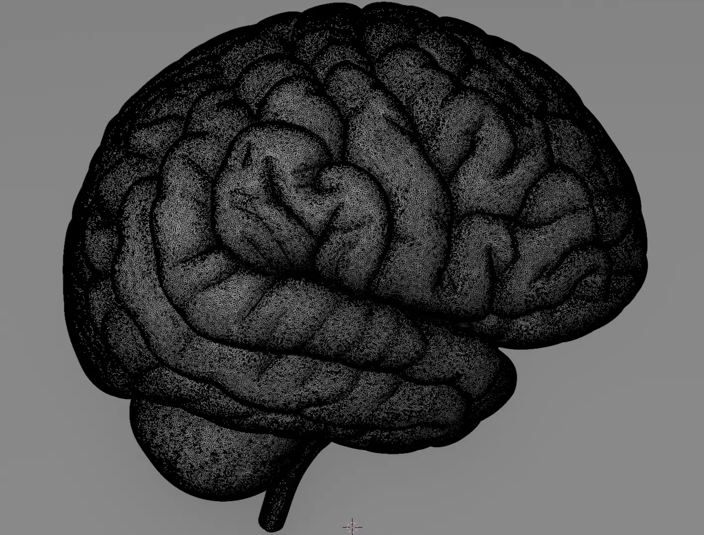 Human Brain 3D Model for 3D Printing Anatomical Organ 3D print model_13