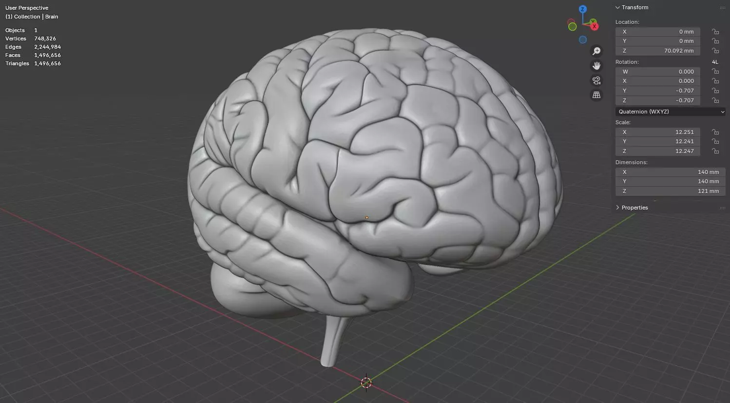 Human Brain 3D Model for 3D Printing Anatomical Organ 3D print model_16