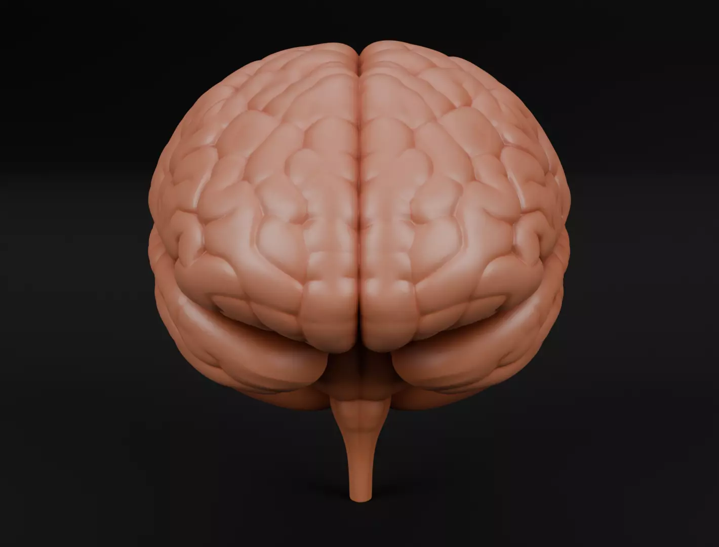 Human Brain 3D Model for 3D Printing Anatomical Organ 3D print model_1