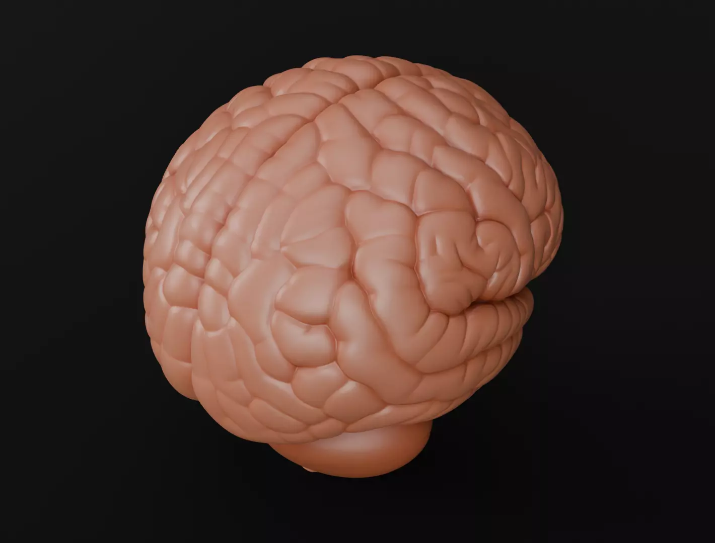 Human Brain 3D Model for 3D Printing Anatomical Organ 3D print model_6