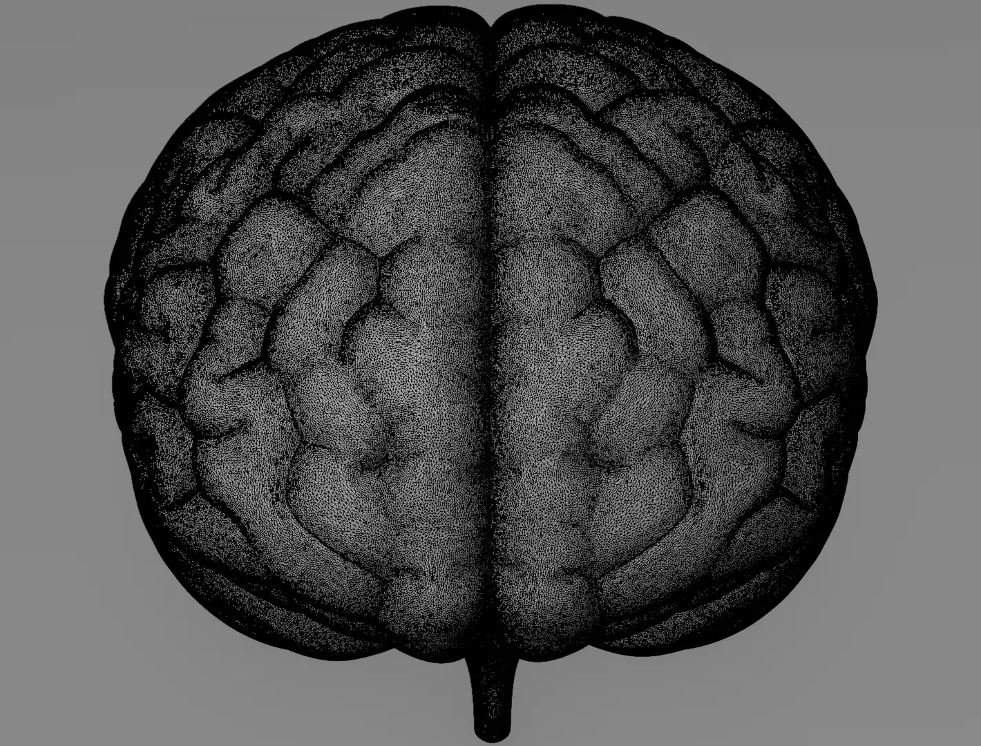 Human Brain 3D Model for 3D Printing Anatomical Organ 3D print model_15