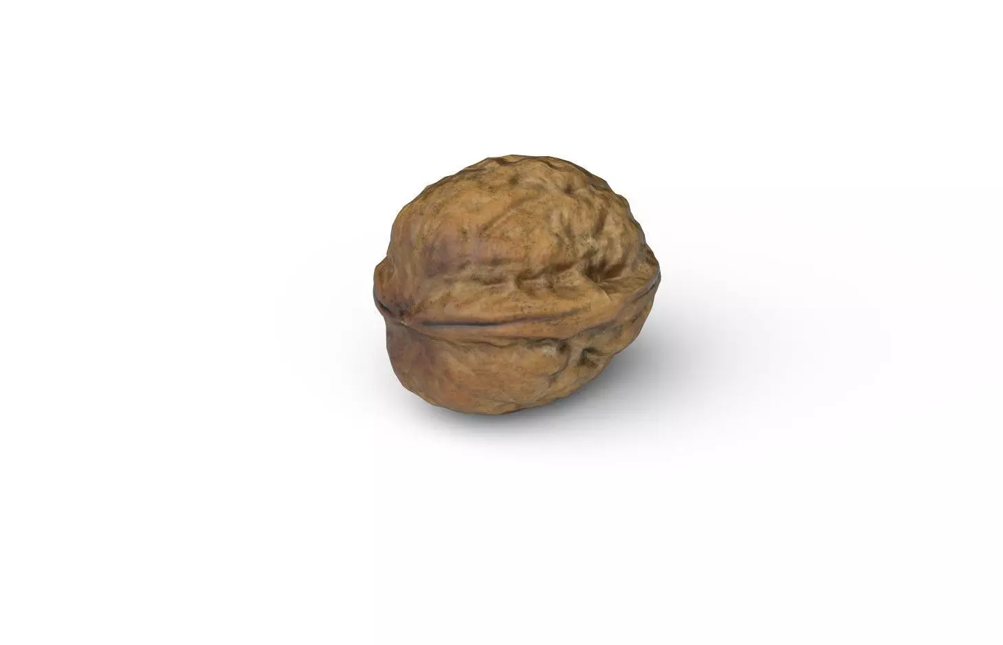 Walnut M04 Low-poly 3D model