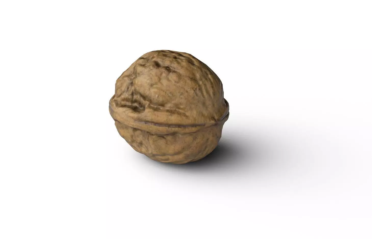 Walnut M05 Low-poly 3D model_7