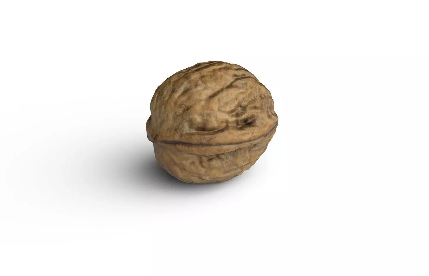 Walnut M05 Low-poly 3D model_0
