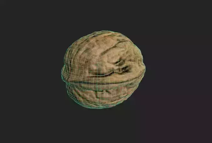 Walnut M05 Low-poly 3D model 3