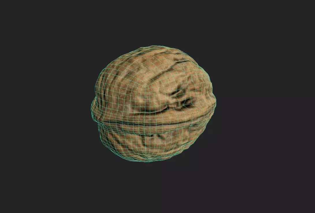 Walnut M05 Low-poly 3D model_2