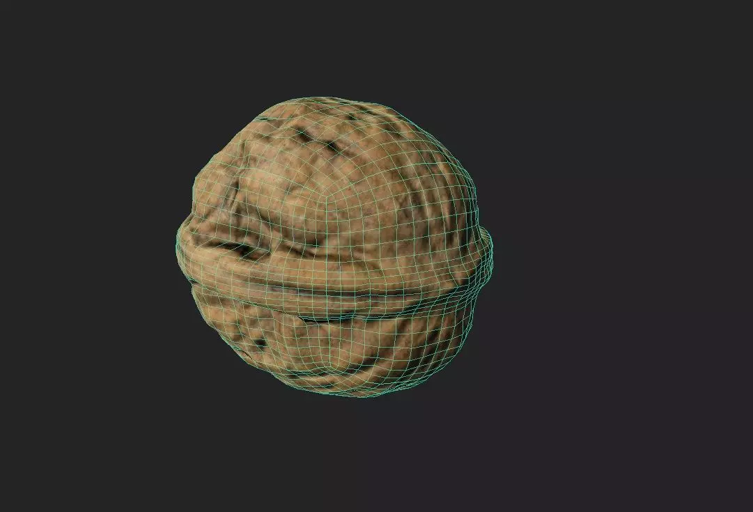 Walnut M05 Low-poly 3D model_8