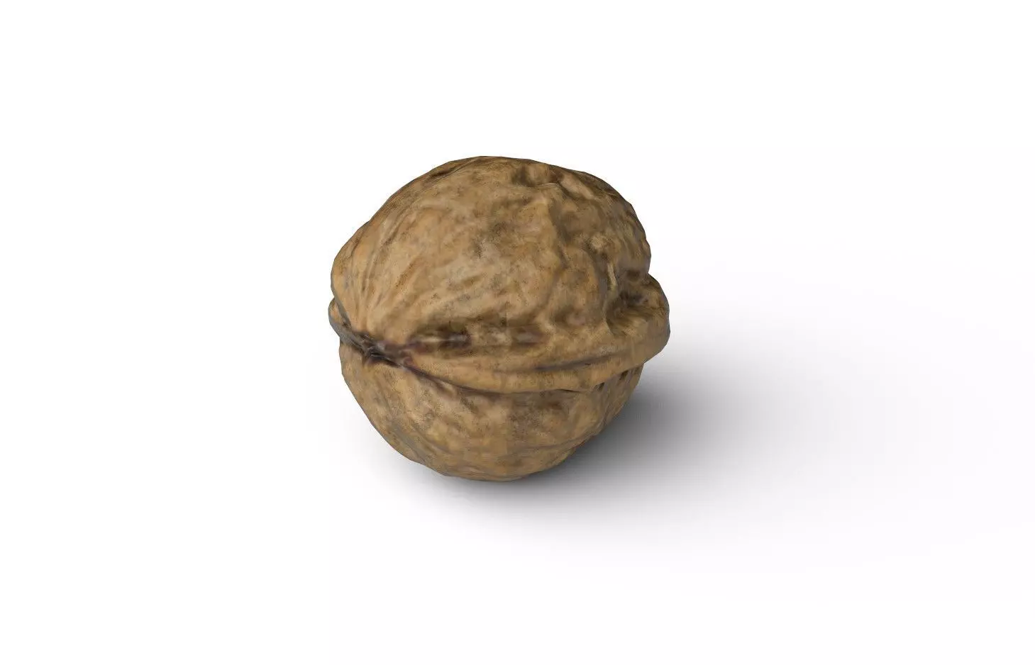 Walnut M05 Low-poly 3D model_6