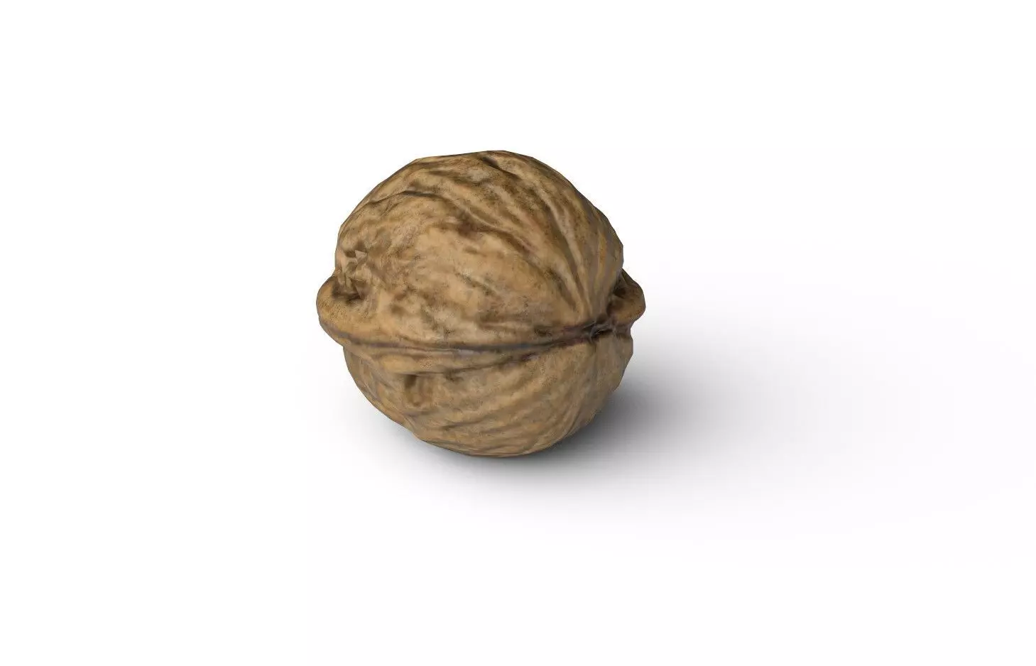 Walnut M05 Low-poly 3D model_5
