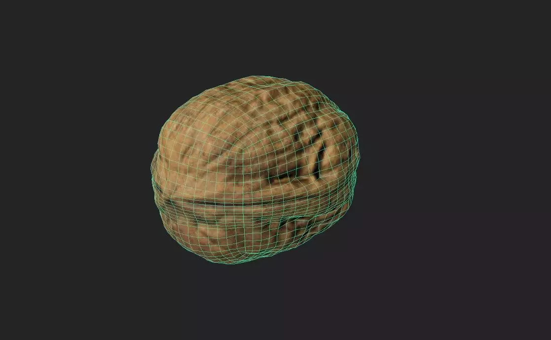 Walnut M06 Low-poly 3D model_1