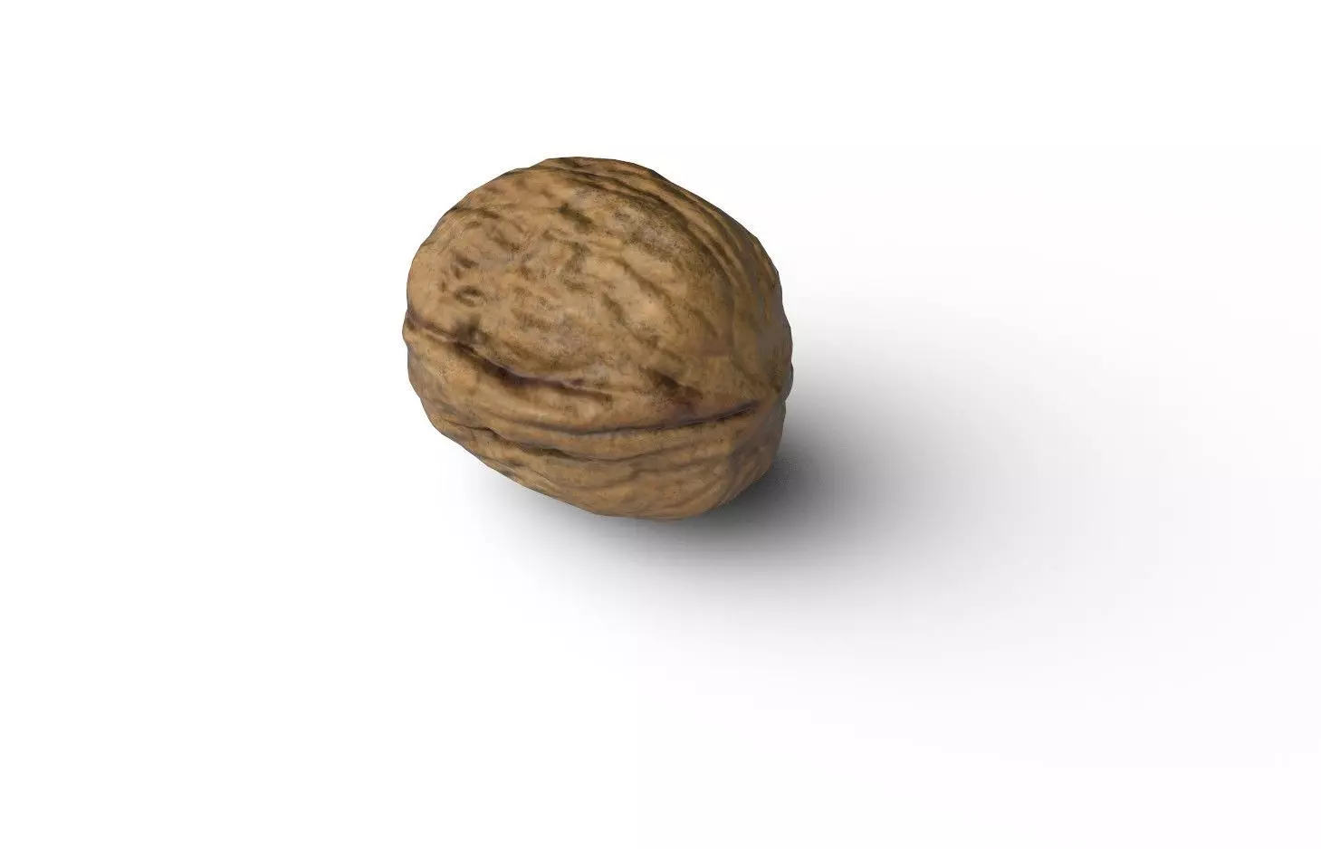 Walnut M06 Low-poly 3D model_6