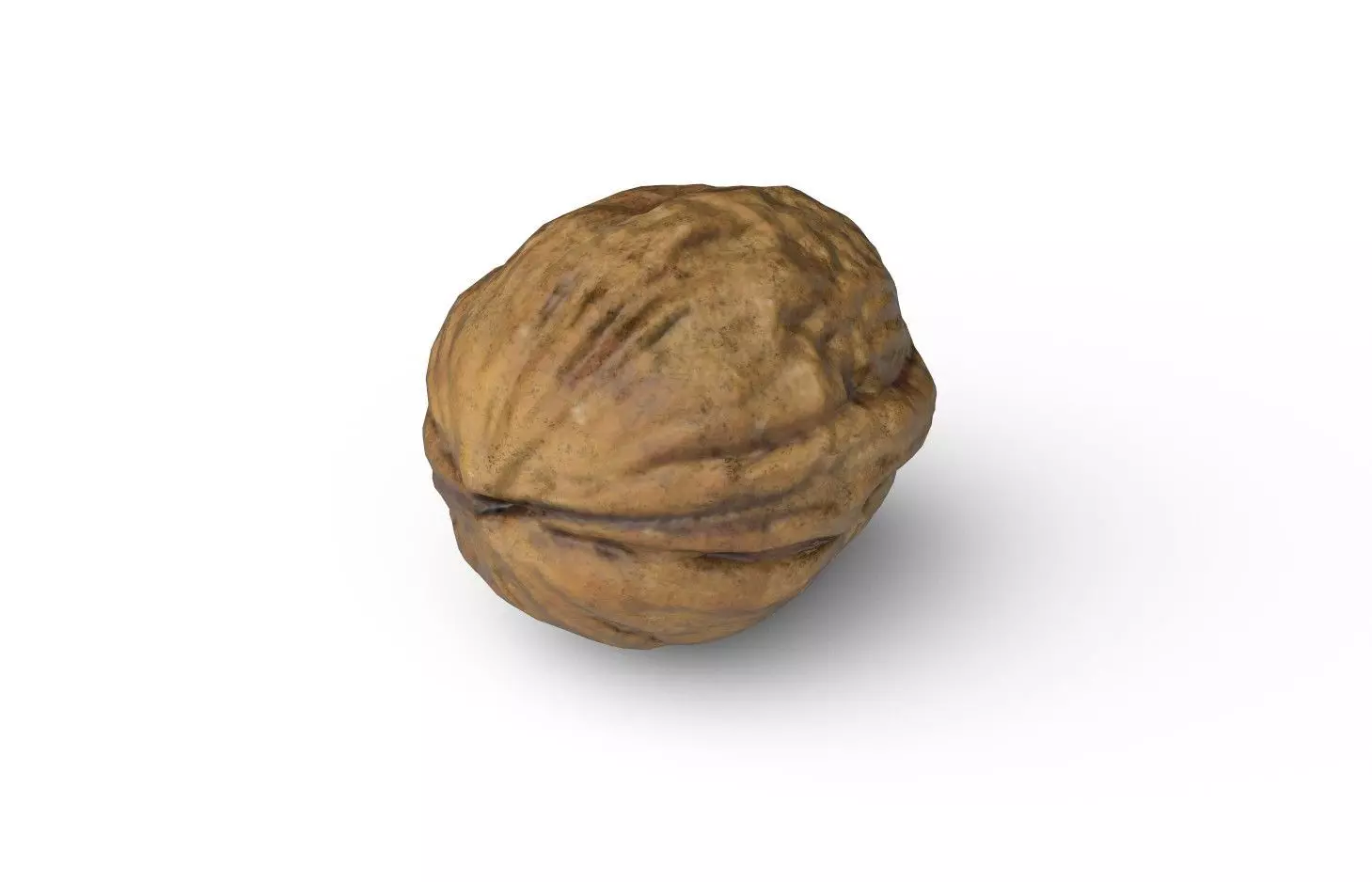 Walnut M06 Low-poly 3D model_5
