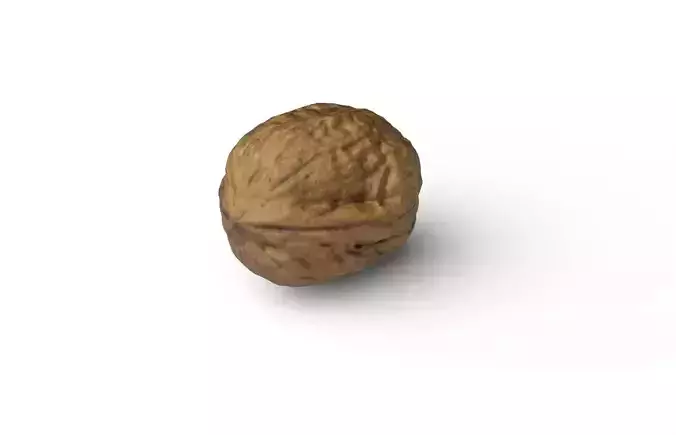 Walnut M06