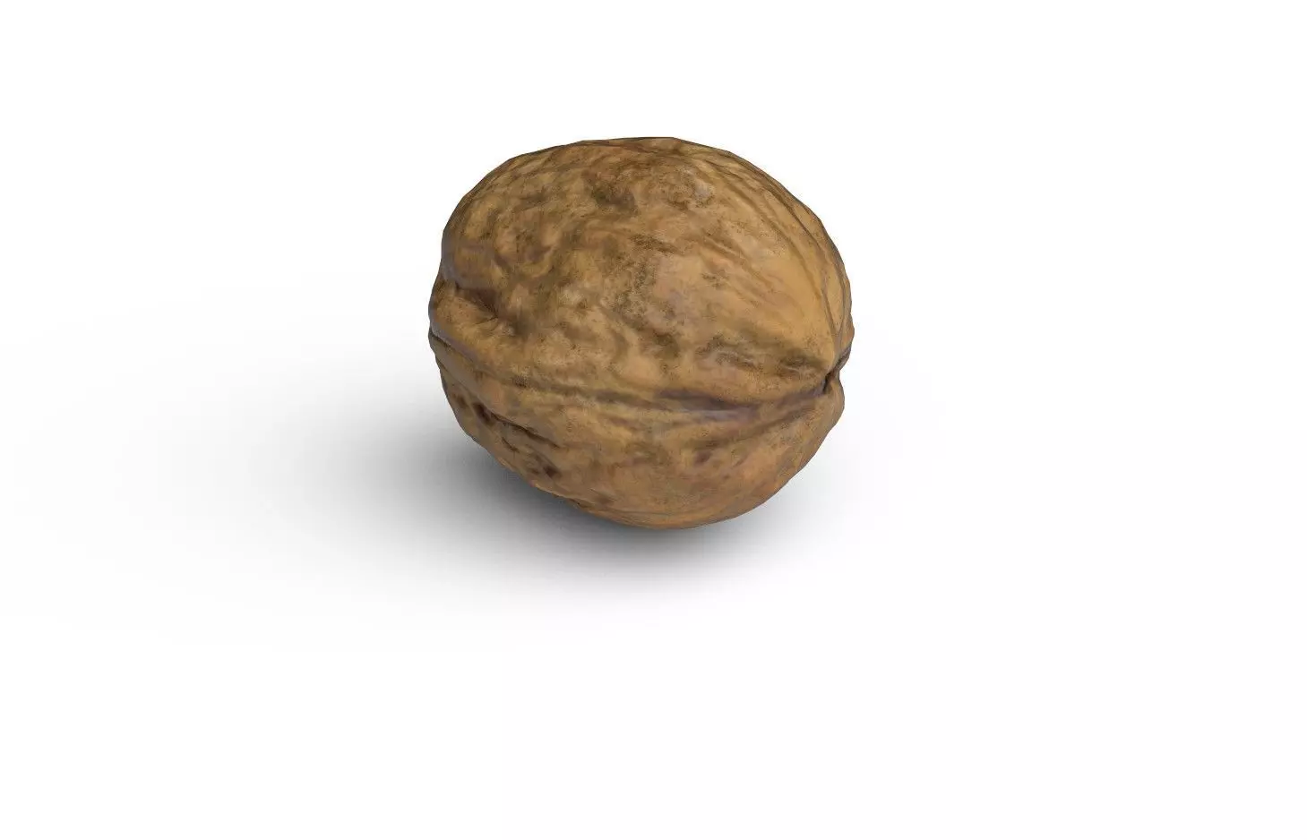 Walnut M06 Low-poly 3D model_4