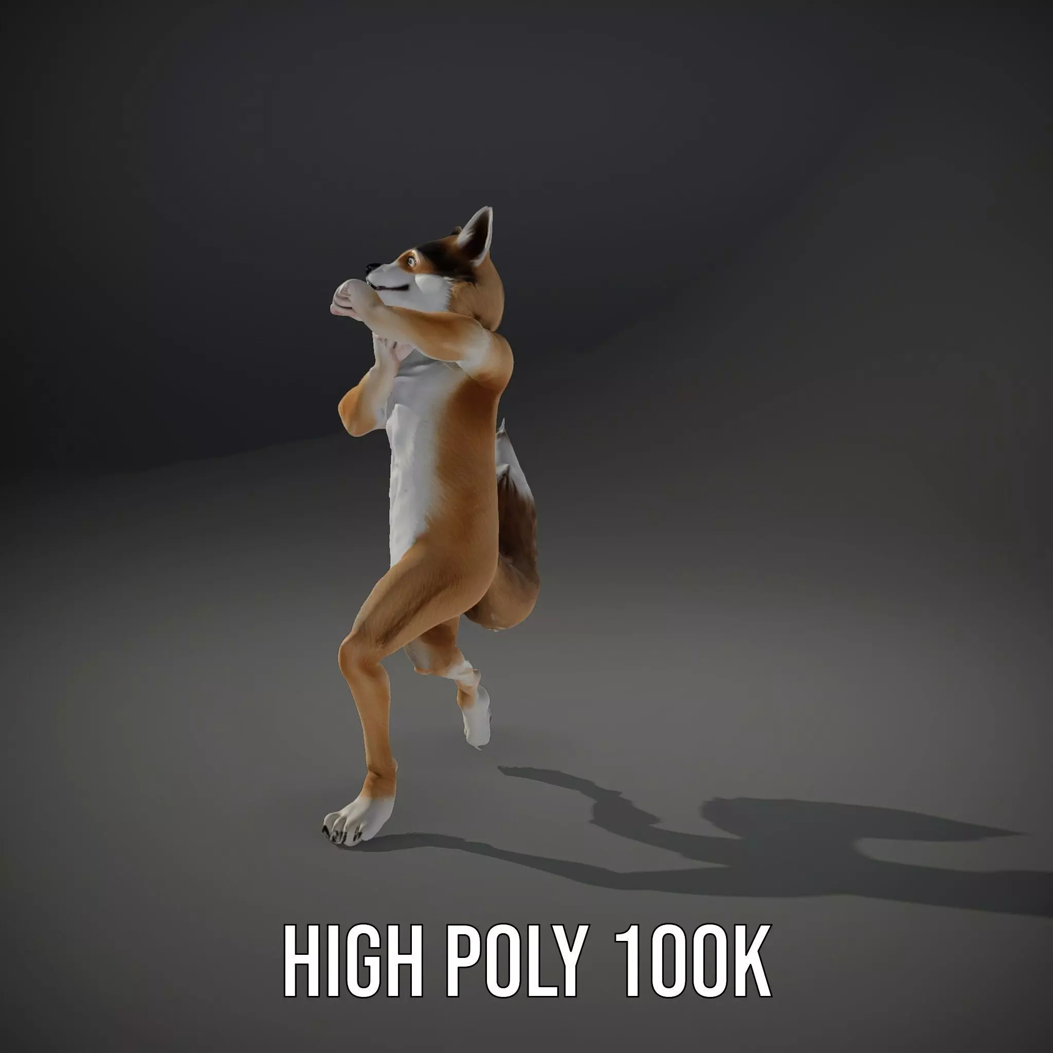 Fox Creature model pack Low-poly 3D model_11