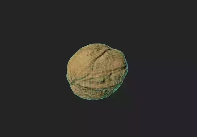 Walnut M07 Low-poly 3D model 2