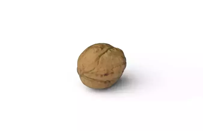 Walnut M07 Low-poly 3D model