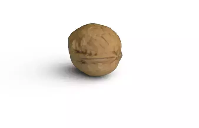 Walnut M07 Low-poly 3D model 7