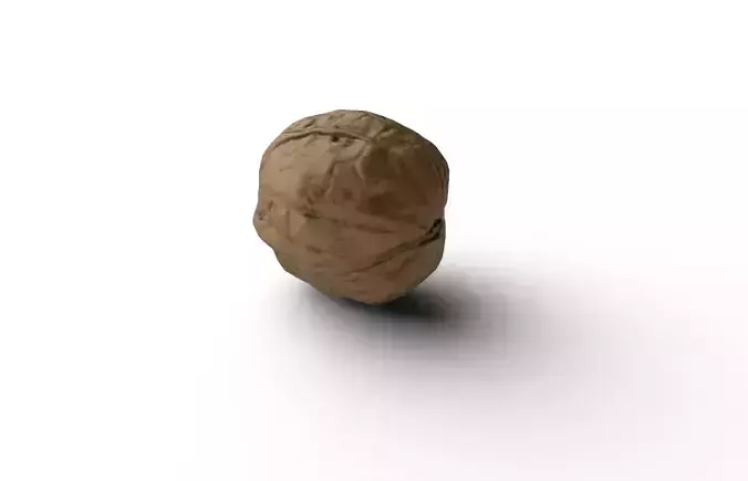 Walnut M07 Low-poly 3D model 5