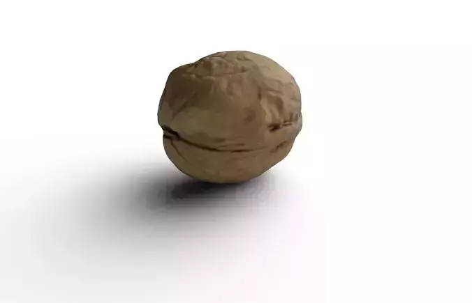 Walnut M07 Low-poly 3D model 6