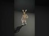 Animated Rabbit Character model pack Low-poly 3D model_2