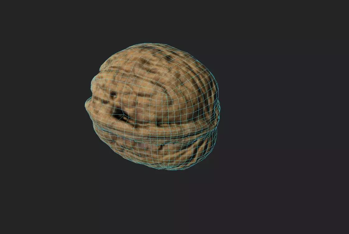 Walnut M08 Low-poly 3D model_7