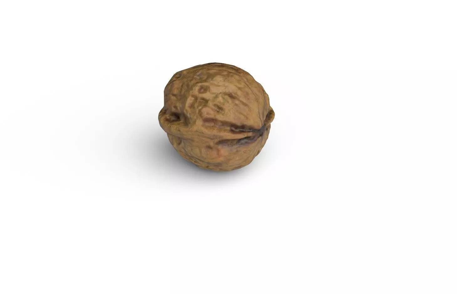 Walnut M08 Low-poly 3D model_4