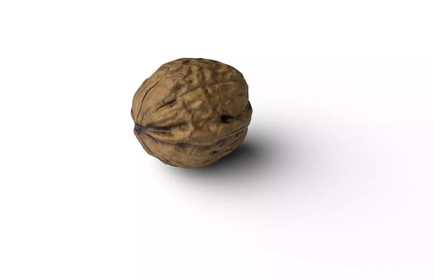 Walnut M08 Low-poly 3D model_5