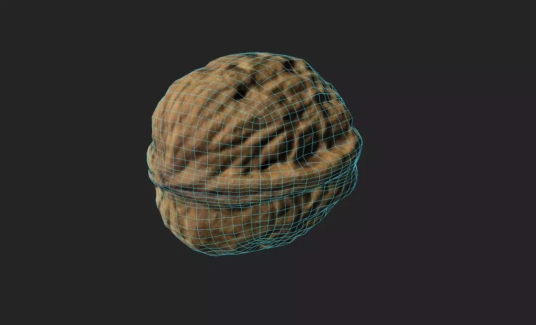 Walnut M08 Low-poly 3D model_1