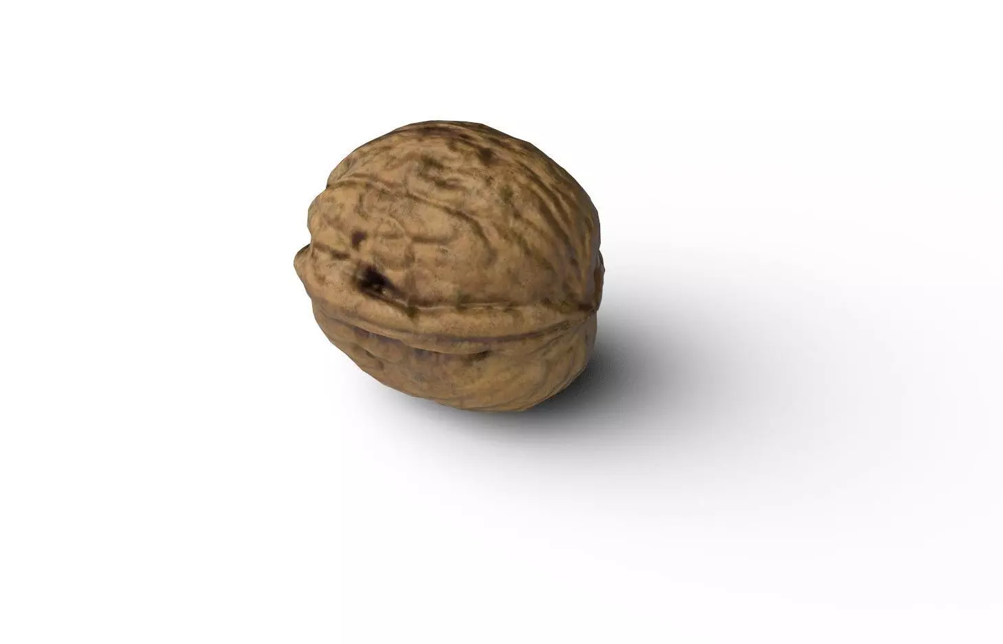 Walnut M08 Low-poly 3D model_6