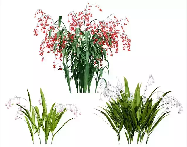 Photorealistic Lily of the Valley 3D Model Pack Low-poly 3D model