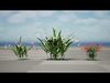 Photorealistic Lily of the Valley 3D Model Pack Low-poly 3D model_1