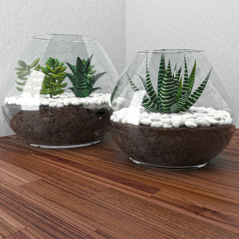 Succulents with stones in glass bowl 3D model_1