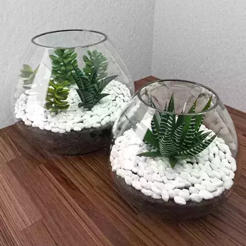 Succulents with stones in glass bowl