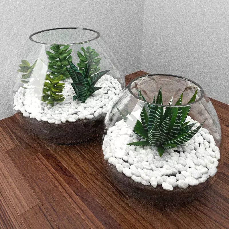 Succulents with stones in glass bowl 3D model_0