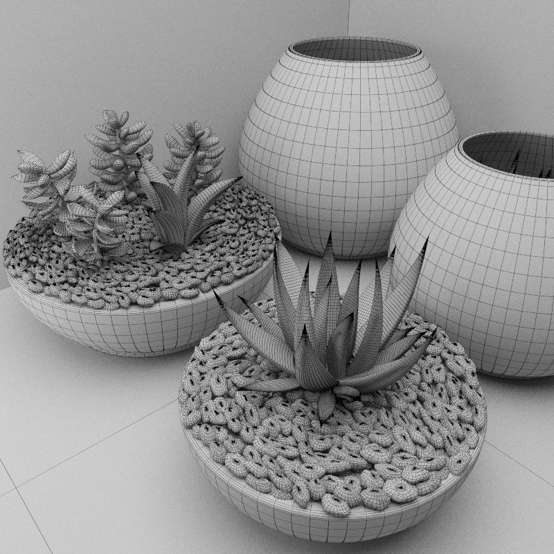 Succulents with stones in glass bowl 3D model_2