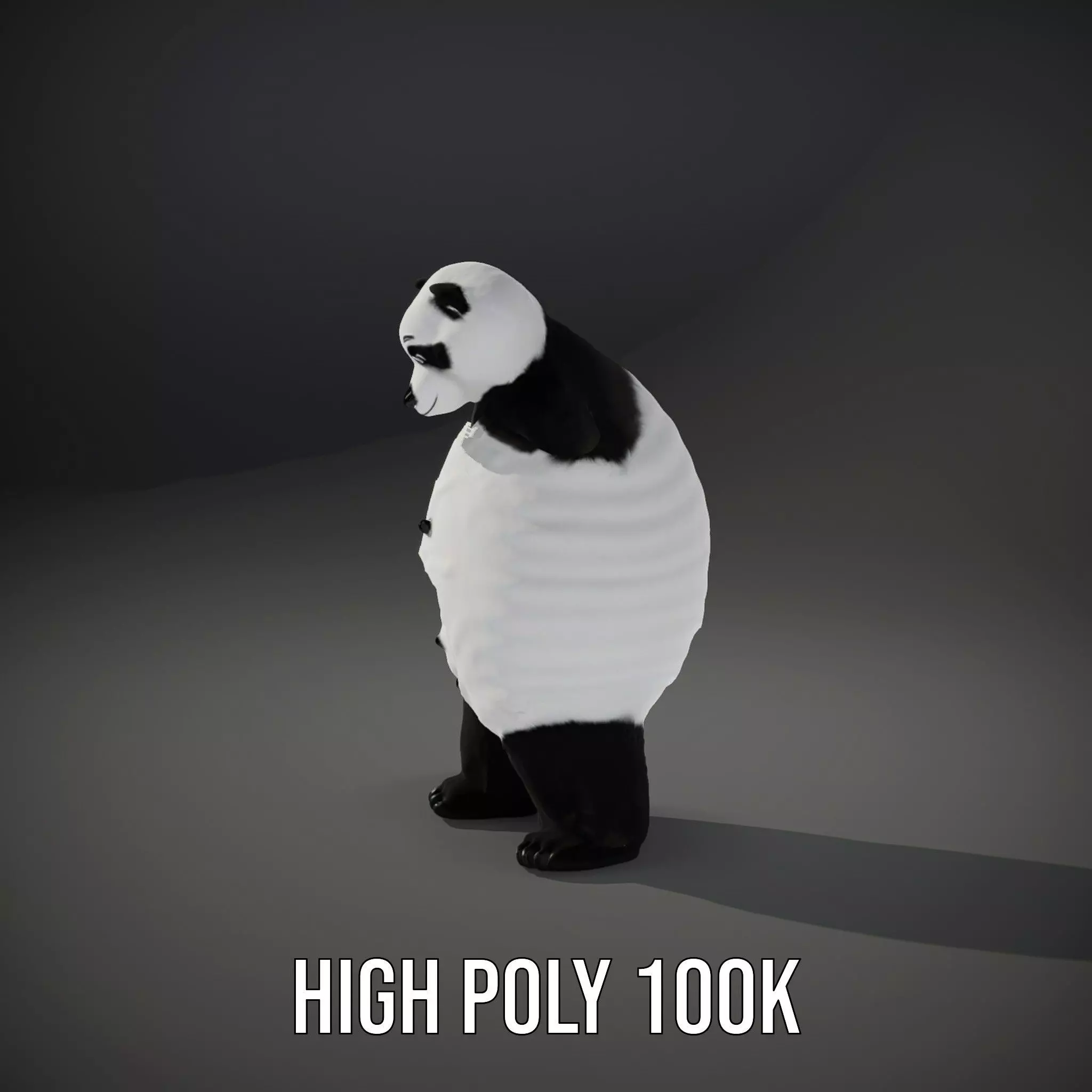 Fluffy Panda Character model pack Low-poly 3D model_11