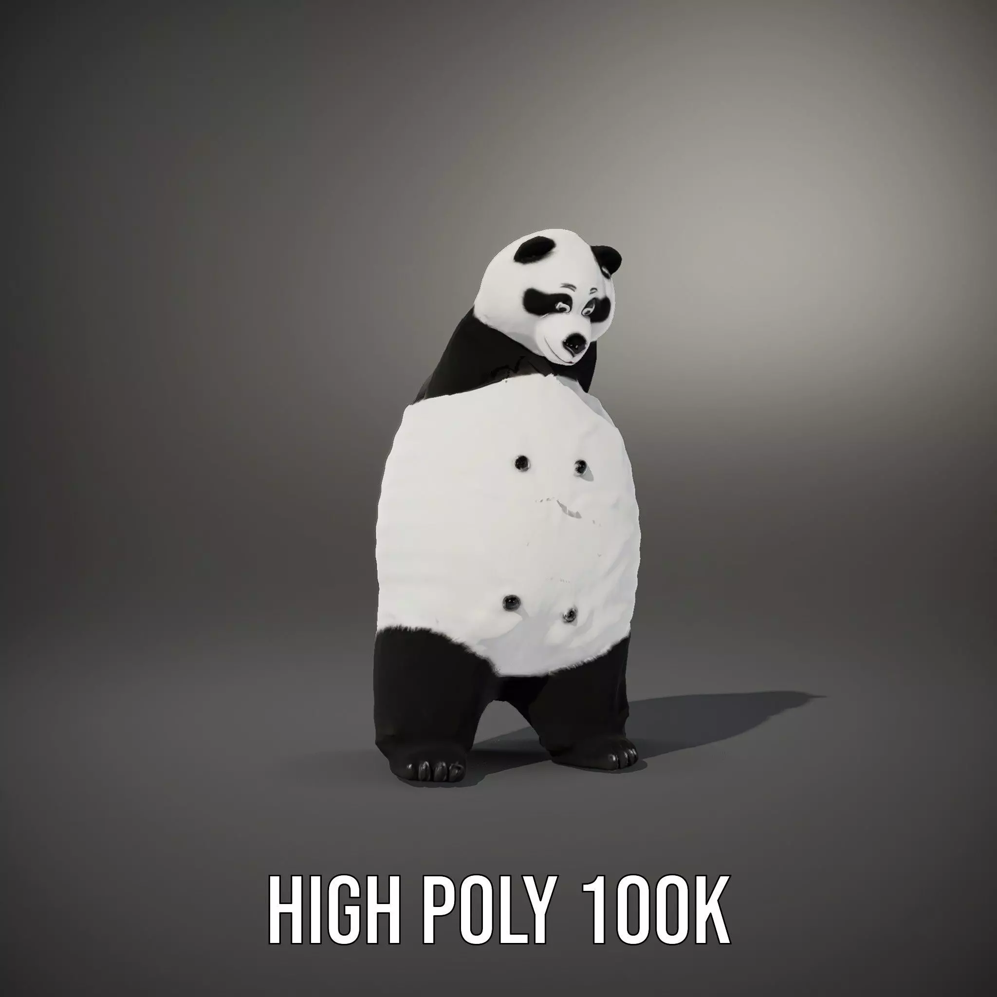 Fluffy Panda Character model pack Low-poly 3D model_9