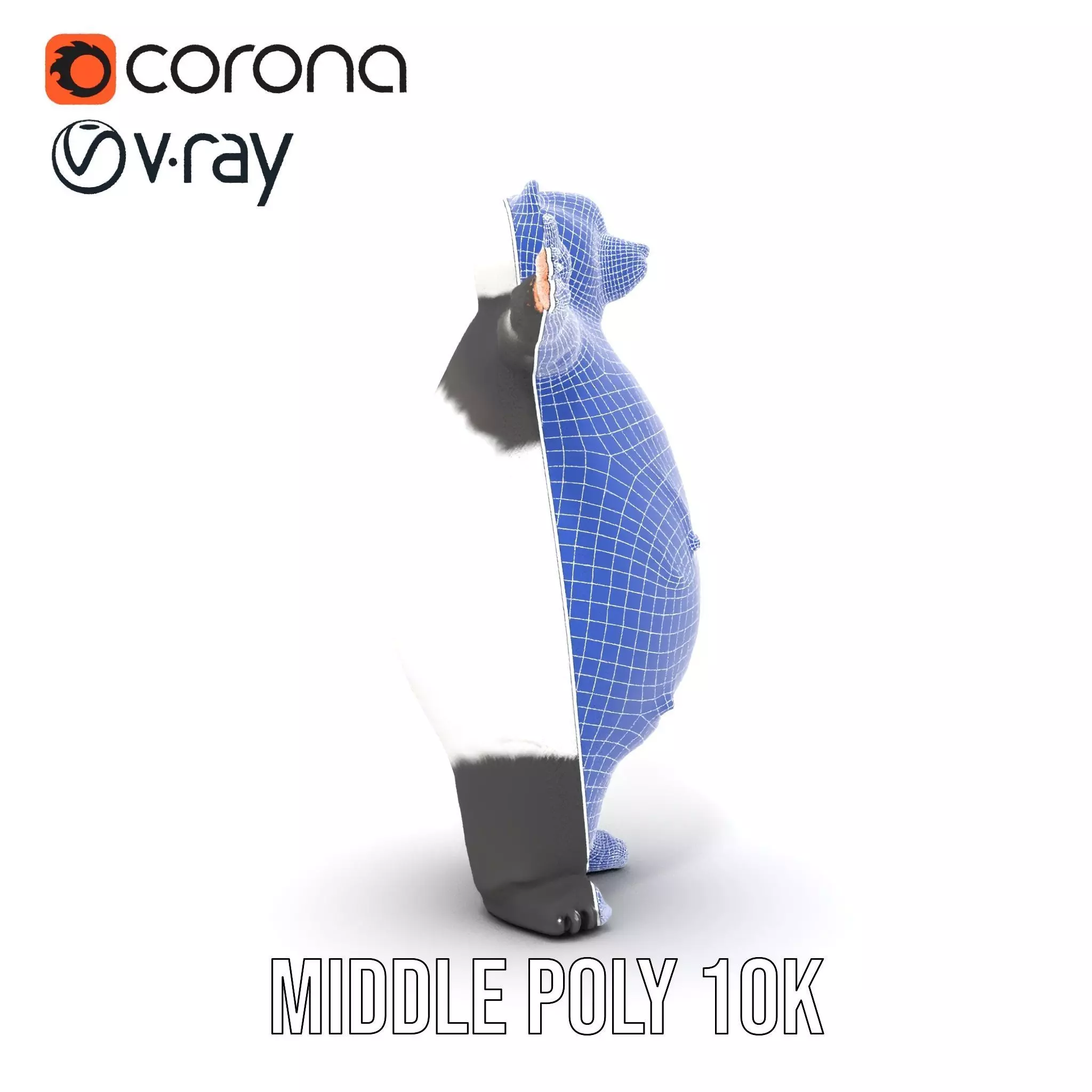 Fluffy Panda Character model pack Low-poly 3D model_31