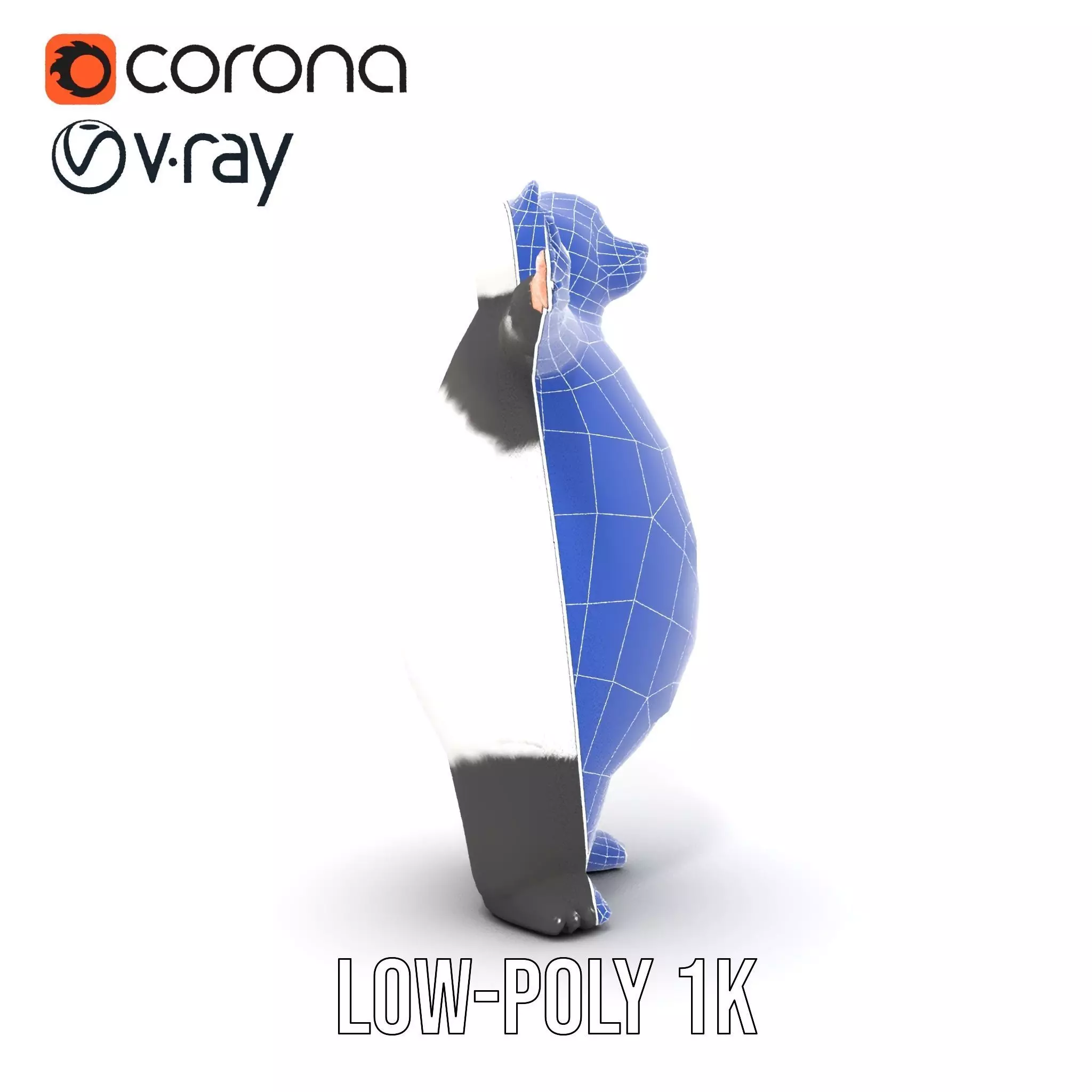 Fluffy Panda Character model pack Low-poly 3D model_29