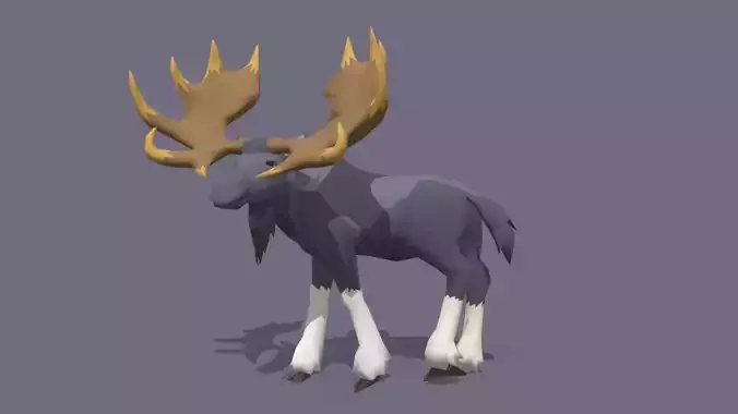 Moose - Animated